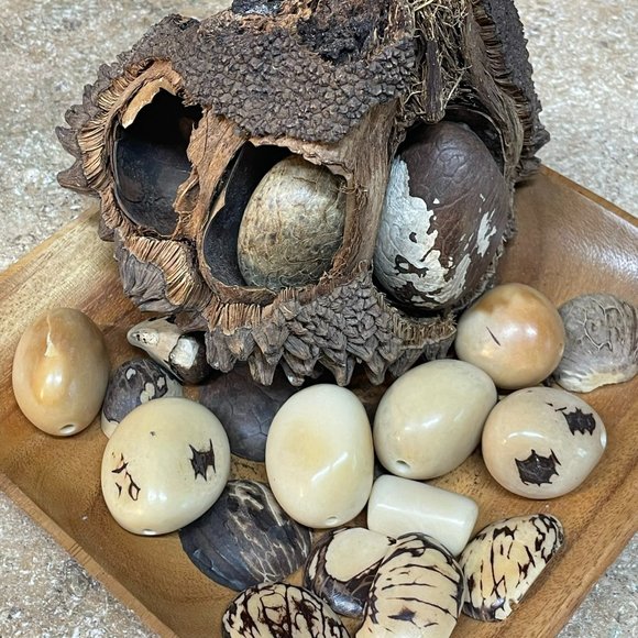 TROPICAL NATURAL TAGUA NUTS "VEGETABLE IVORY" STRETCH PEBBLE BRACELET FAIR TRADE - Picture 5 of 7